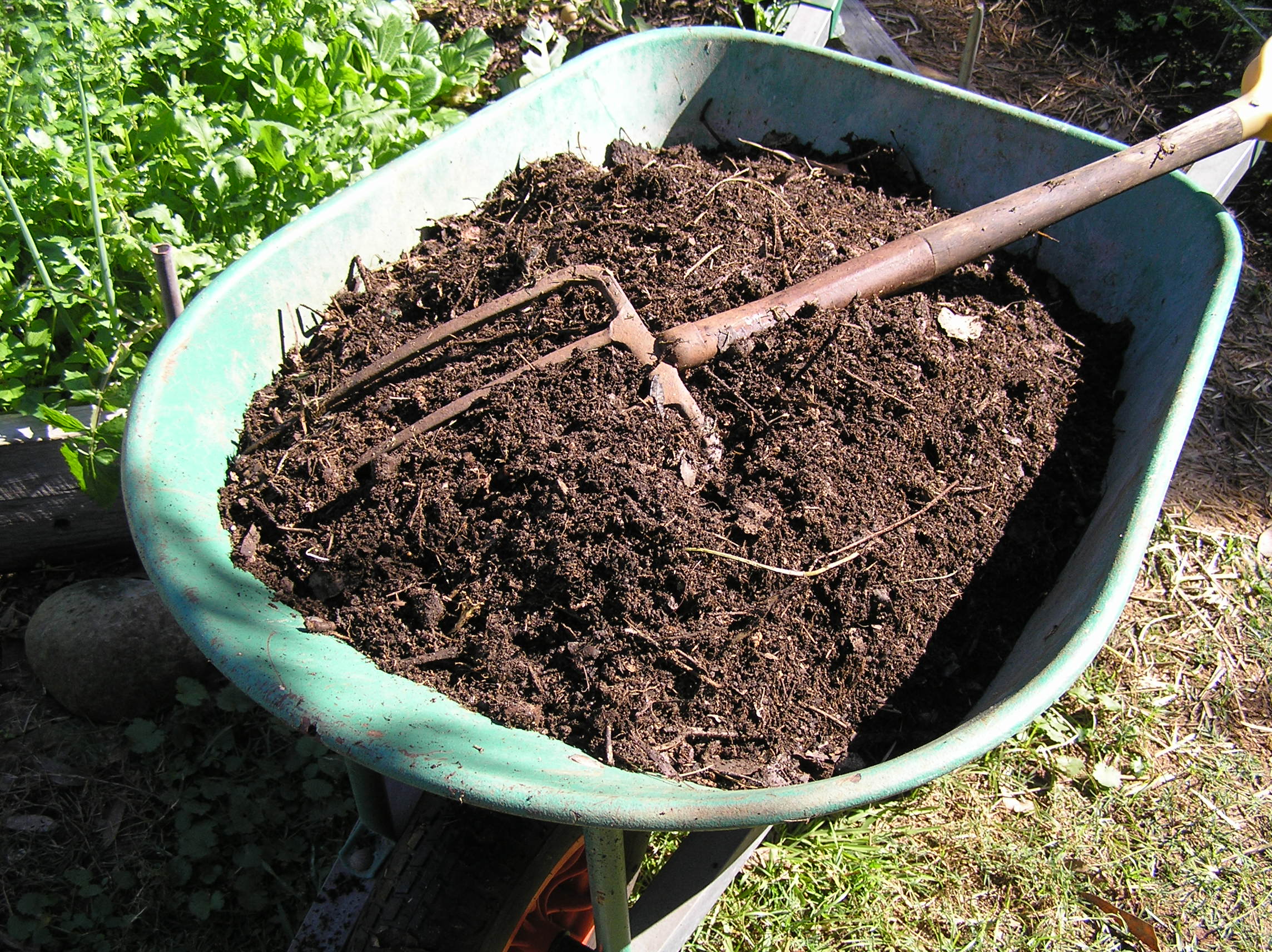 Up the anti on composting